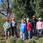 Gardening Mar 2026-2