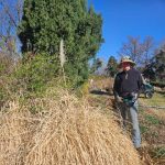 Gardening Mar 2026-3