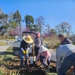 Gardening Mar 2026-4